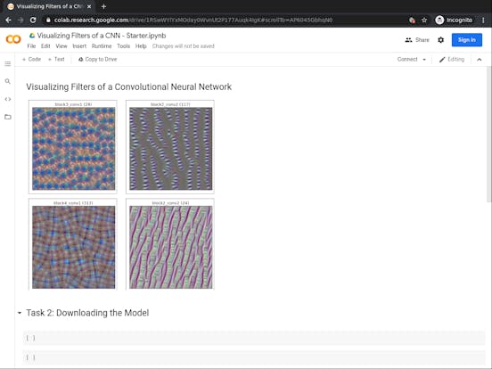 Visualizing Filters of a CNN using TensorFlow