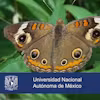 Evolución Specialization