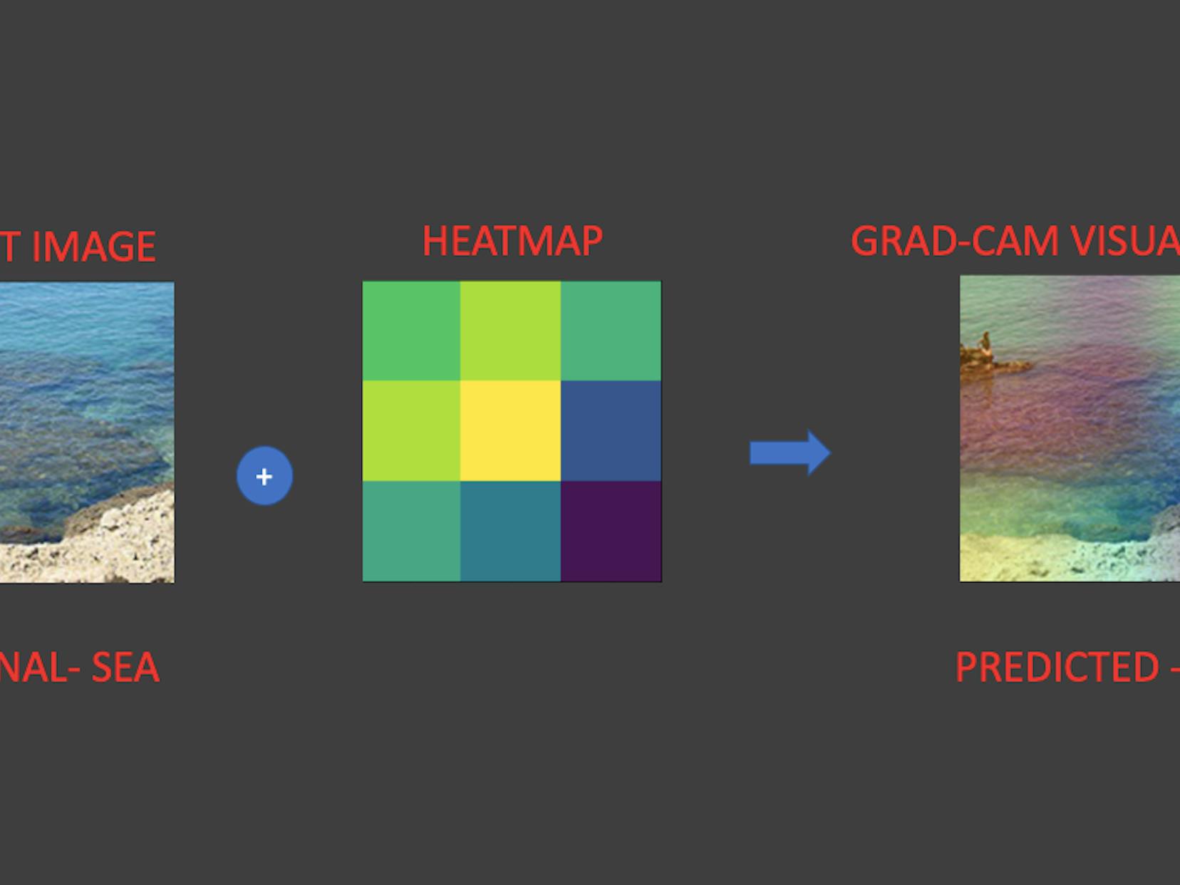 Explainable AI: Scene Classification and GradCam Visualization