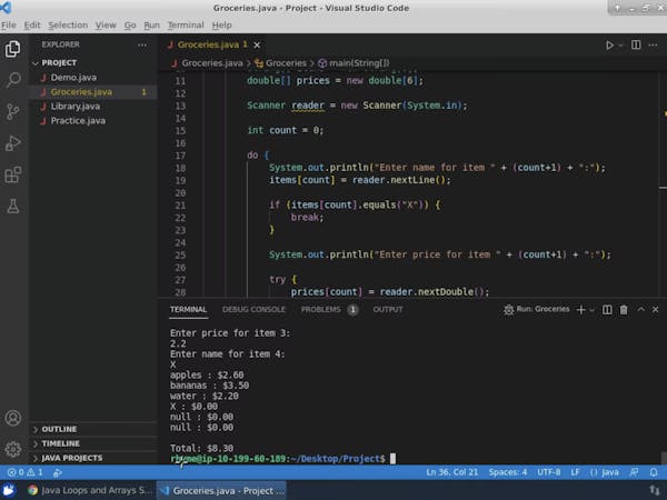 Java for Beginners: Loops & Arrays