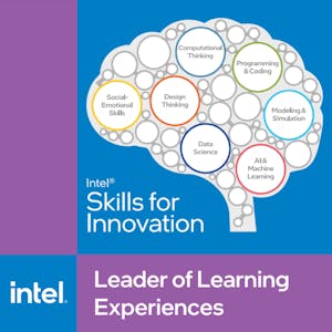 Leader of Learning Experiences