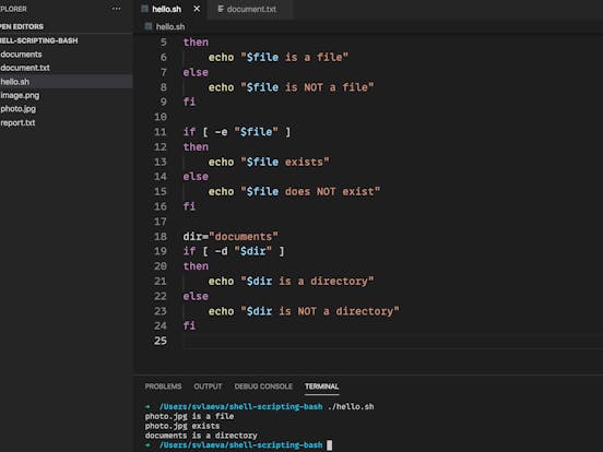Shell Scripting With Bash Basics Shell Scripting With Bash Basics