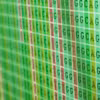 Plant Bioinformatic Methods Specialization