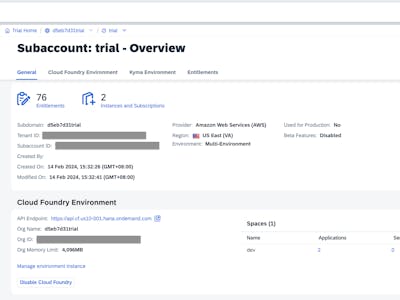 App Deployment with Cloud Foundry: Launch a Code Generator