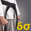 Six Sigma Black Belt Specialization