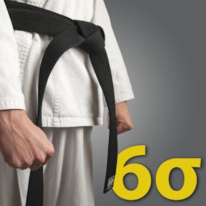 Six Sigma Black Belt thumbnail