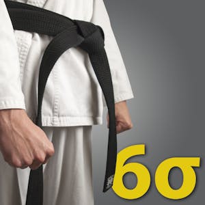 Six Sigma Black Belt - Online CE Course