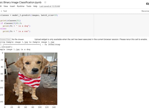 Tensorflow For Beginners Basic Binary Image Classification Tensorflow For Beginners Basic Binary Image Classification