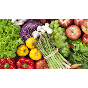 Fundamentals of Human Nutrition