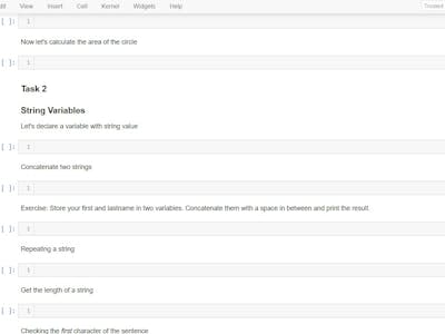 Python for Beginners: Variables and Strings