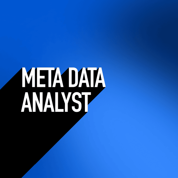 Meta Data Analyst