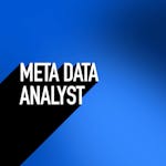 Meta Data Analyst