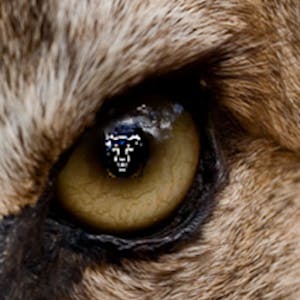 Advanced System Security Design - Online CE Course