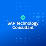 SAP Technology Consultant
