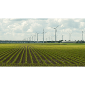 Global Sustainable Energy: Past, Present and Future