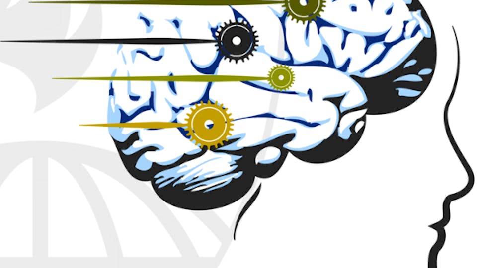 Introduction to Statistics | Coursera
