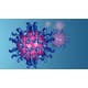 Virology I: How Viruses Work