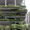 Sustainable Cities Specialization
