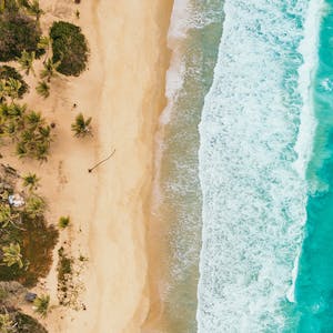 Image for the Bending the Curve: Climate Change Solutions course