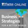 Business Strategies for A Better World Specialization