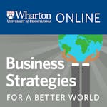 Business Strategies for A Better World