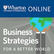 Business Strategies for A Better World