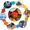 Healthy and Sustainable Foods and Products Specialization