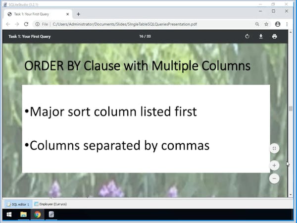 Retrieve Data using Single-Table SQL Queries