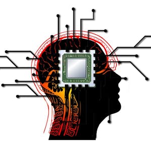 Image for the Mind and Machine course