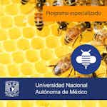 Fundamentos Estratégicos Empresariales by Universidad Nacional Autónoma de México