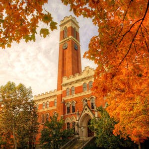 Image for the MATLAB Programming for Engineers and Scientists course