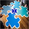 Healthcare Organization Operations Specialization
