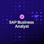 SAP Business Analyst