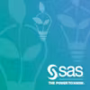 SAS Programmer Professional Certificate