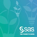 SAS Programmer Professional Certificate image