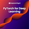 PyTorch for Deep Learning Professional Certificate