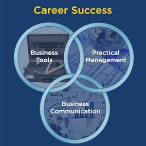 Career Success image