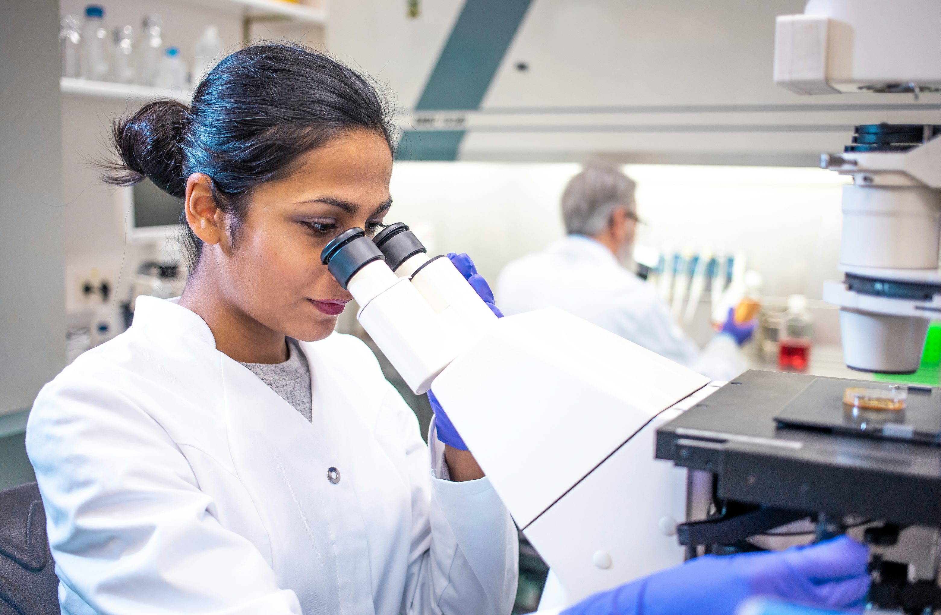 Basic Med Lab Tech Math What Is a Medical Laboratory Technician? And How to Become One | Coursera