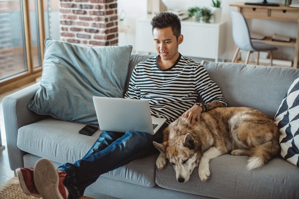 [Featured image] A IT support specialist is learning about DHCP while sitting on the couch with their dog. 