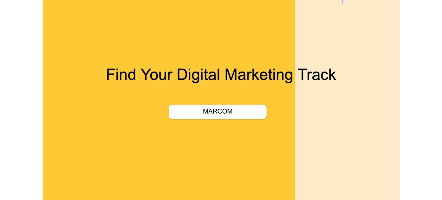 Digital Marketing  Career Paths