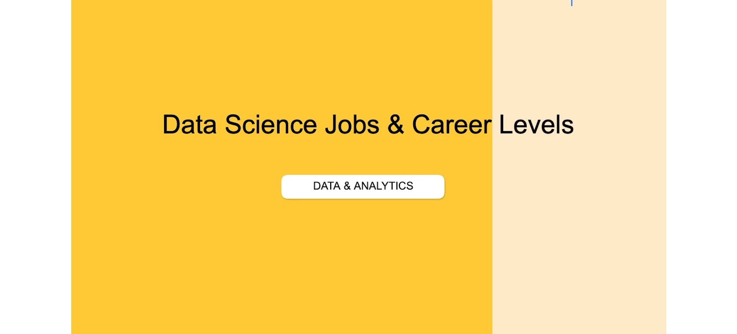 Data Science Career Roadmap and Job Leveling Matrix