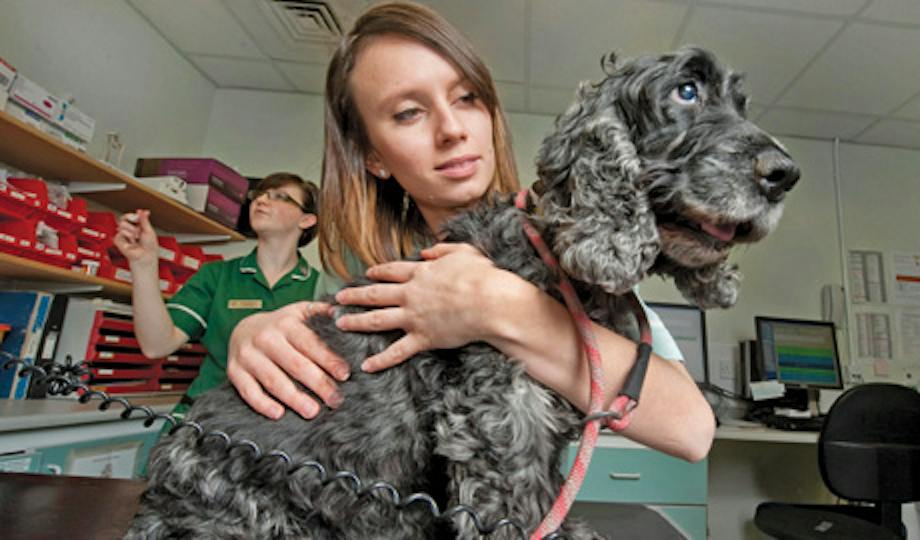 Portada: EDIVET: ¿Tiene lo que hay que tener para ser veterinario?