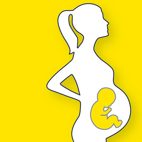 Portada: Nutrición y estilo de vida en el embarazo
