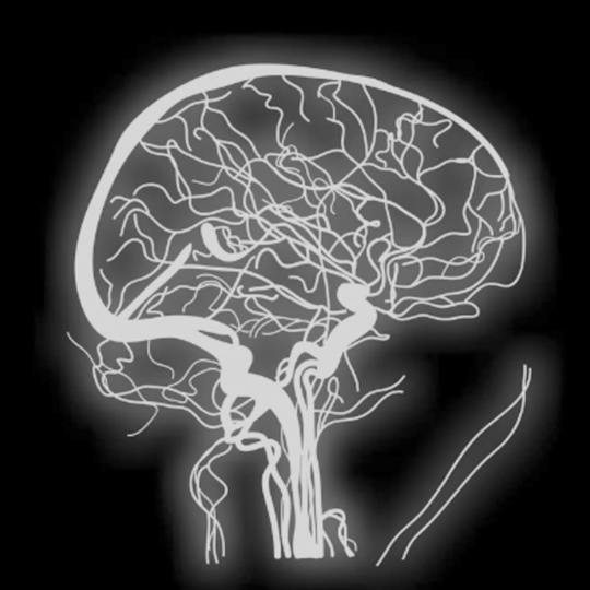 Portada: Neurociencia fundamental para la neuroimagen