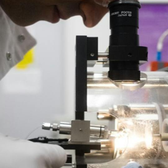 Portada: Biotecnología industrial