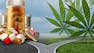 Cannabis, Chronic Pain, and Related Disorders