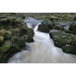 Introduction to Environmental Law and Policy image