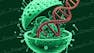 Engineering Genetic Circuits: Modeling and Analysis