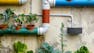 Urban Nature: Connecting Cities, Sustainability and Innovation