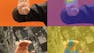 Introduction to Deep Learning for Computer Vision